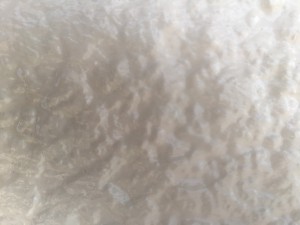 S__3792929