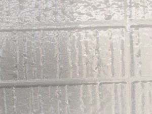 S__31580187